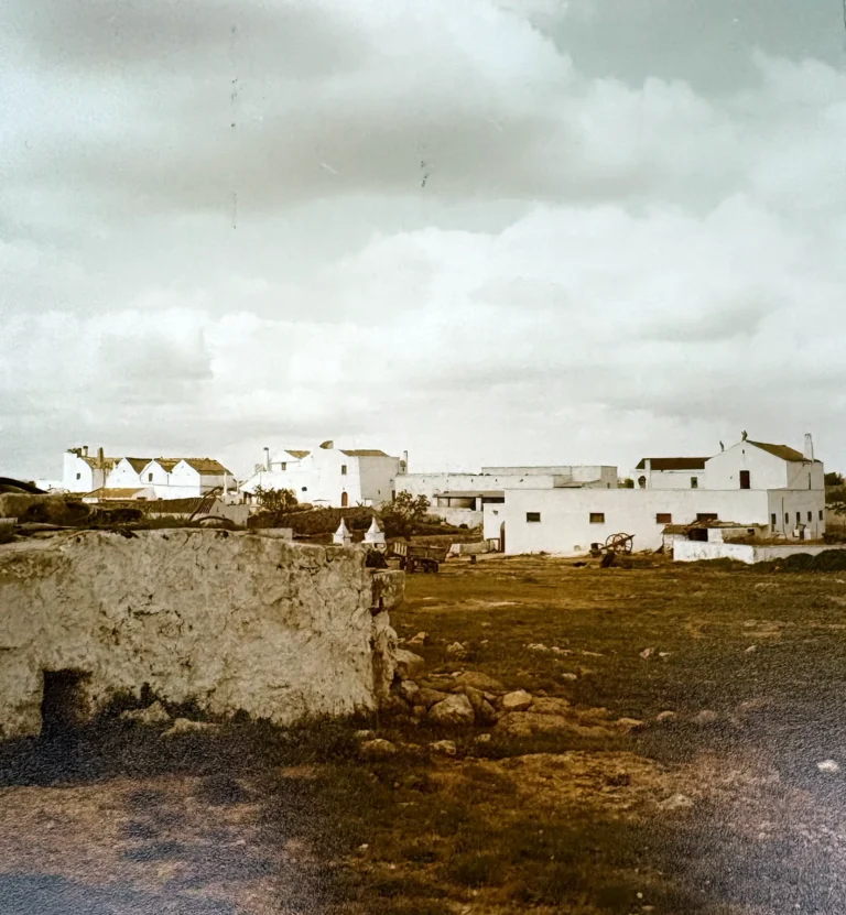 Masseria Vallenza Blasi - Foto di R. Gualdi