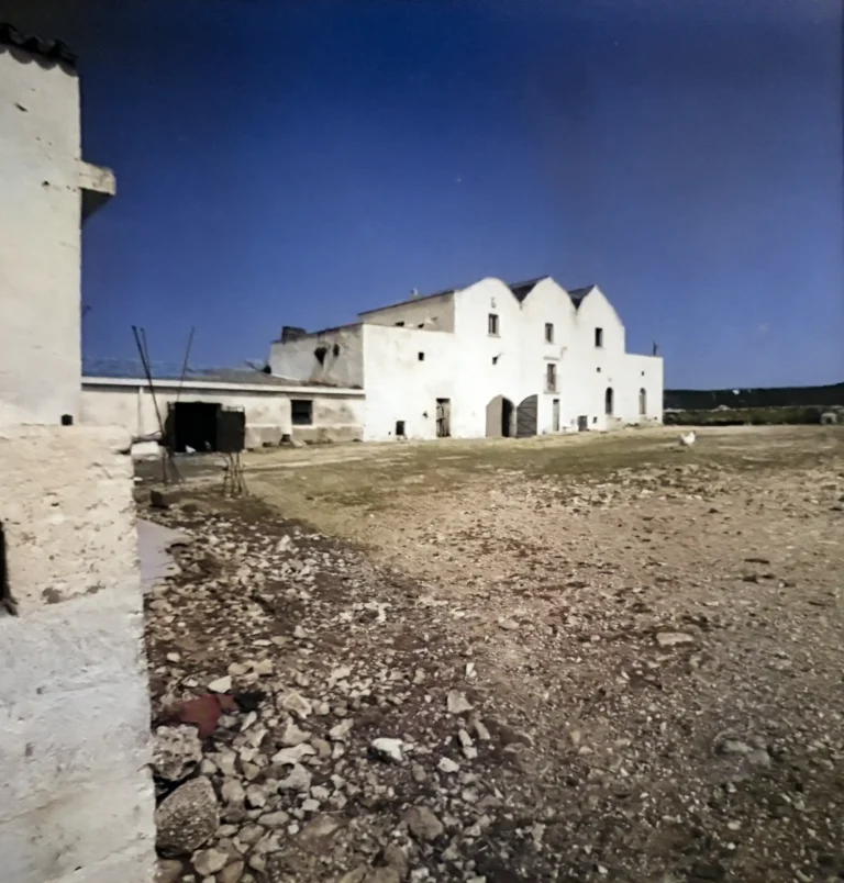 Masseria Pace II - Foto di Romano Gualdi