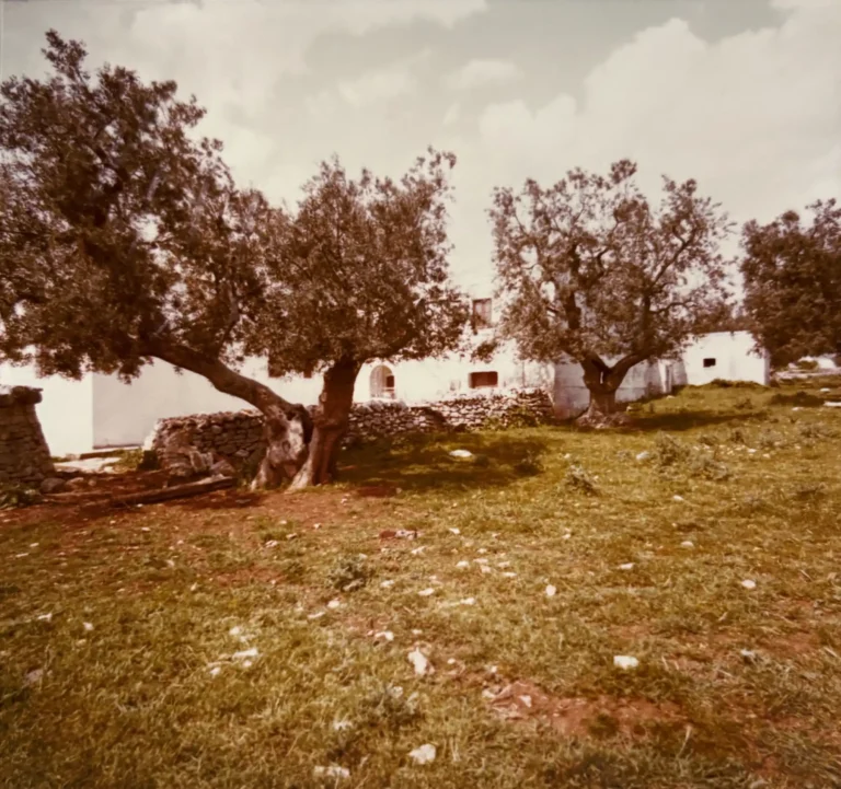 Masseria Maggi - Foto R. Gualdi